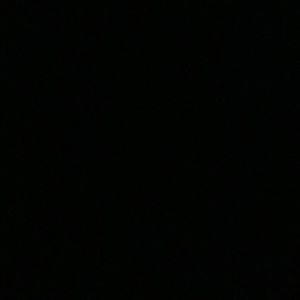 Meet your Posher, Suzanne